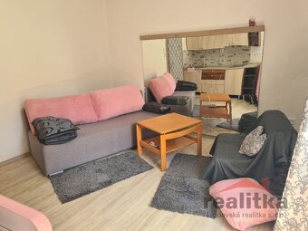 Pronájem hezkého, zařízeného bytu se zahradou 1+kk, Opava, u - 2