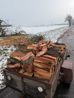 Krbové dřevo-Hruška - 2