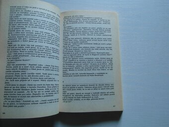 JAMES HADLEY CHASE- PAST-VYŠEHRAD-1996-1. VYDÁNÍ - 2