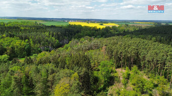 Prodej lesa, 79857 m², Černýšovice - 2