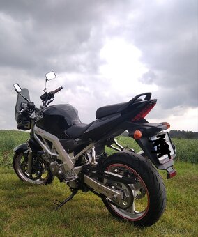 Suzuki SV 650 N - 2
