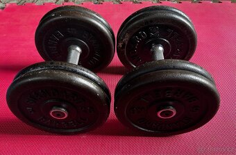 Profi činky 2x20kg - 2