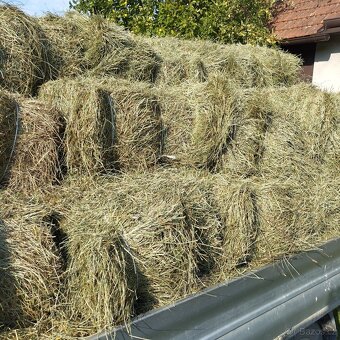 Seno malé balíky - 2