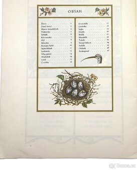 Lesní zpěváčci - 2