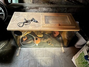 Terárium pro suchozemské plazy - 2