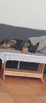 Do dobrých rukou - 2