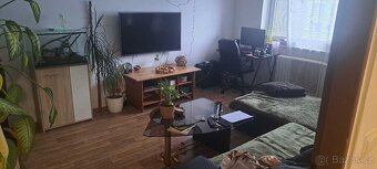 Pronájem udržovaného bytu 2+1 50m2 - 2