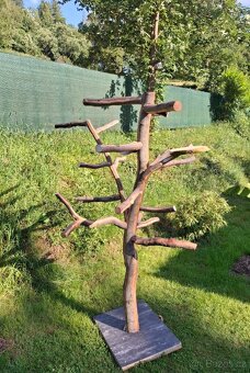 Nepoužitý strom pro velké papoušky - 2