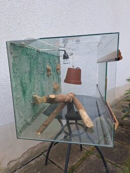 Terárium - 2