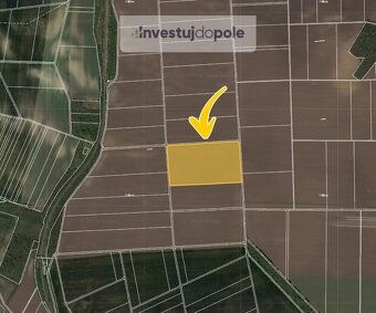 Prodej pole v k.ú. Břežany u Znojma - 2