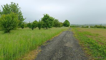Prodej sadu k.ú.Veselíčko u Lipníka nad Bečvou (39 Kč/m2) - - 2