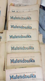 Mateřidouška - 2