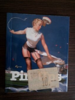 Pin Ups Taschen / art Book - 2