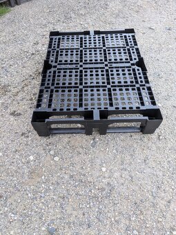 Plastové palety 800x60 - 2