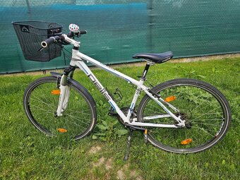 DÁMSKĚ KOLO PELLS RX 57 - 2