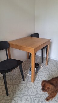 Stůl ikea EKEDALEN - 2