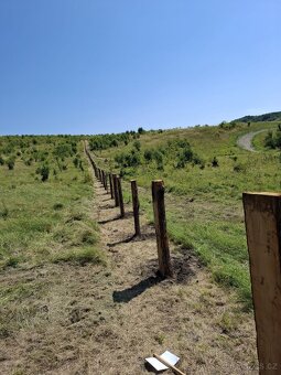 Dřevo- Dubové kůly - 2