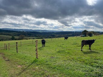 asistent/ka, administrativa - 2