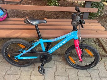 Author Record 16 - 2