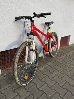 juniorske horske kolo - 2