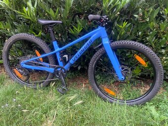 Prodám dětské horské kolo SPECIALIZED RIPROCK 24 - 2