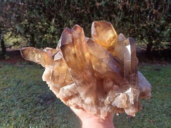 Citrín velká drůza 6kg - 2