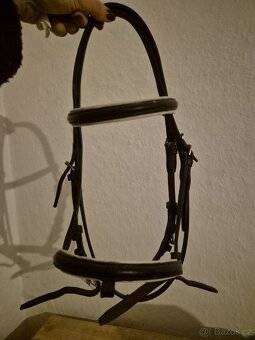 Pony uzdečka - 2