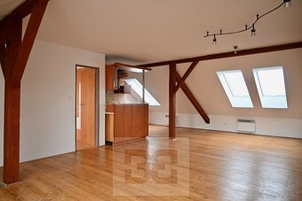 Prostorný byt 1+kk ve Vyškově, ev.č. N08044 - 2