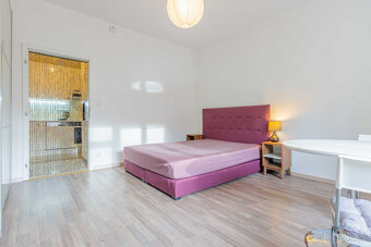 Pronájem bytu 1+1, U Pernštejnských, Praha - Nusle, Praha 4 - 2