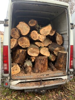 Palivové dřevo topol - 2