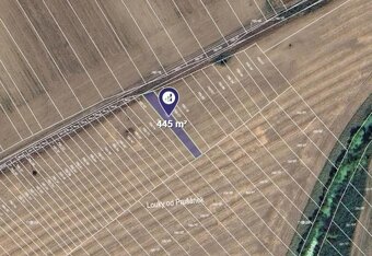 Prodej vinice v k.ú. Josefov u Hodonína - 2