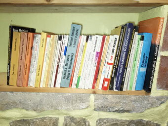 ekonomika, sales odborna literatura - 2