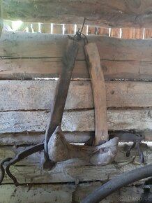 chomout na krávu - 2