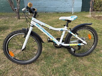 Dětské kolo Superior paint 20 - 2