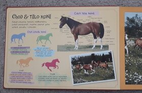 Kniha puzzle koně - 2
