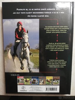 Koně a jejich pohyb - 2