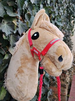 Hobby horse - 2