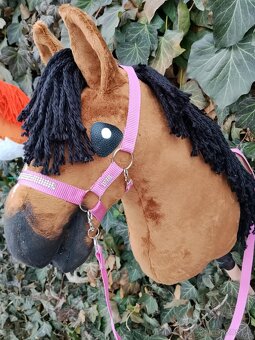 Hobby horse - 2