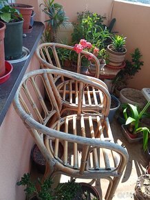 Ratanové křeslo - 2