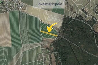Prodej pole v k.ú. Val u Veselí nad Lužnicí - 2