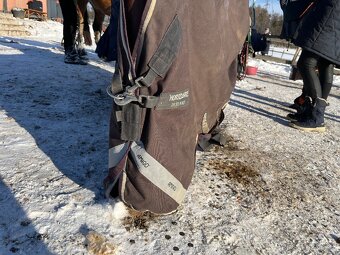 Horseware amigo plastenka 145 - 2