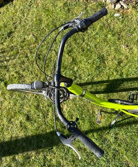 Městské kolo BBF collection line - 2