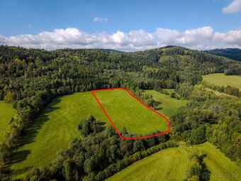 prodej louky okr. Šumperk - 2