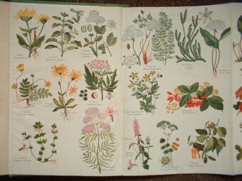 Domácí lékař léčení samostatné domácí - 2