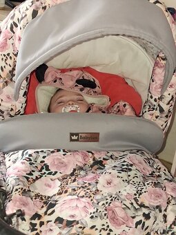 Kocarek z ruzickami - 2