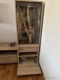 Terárium - 2