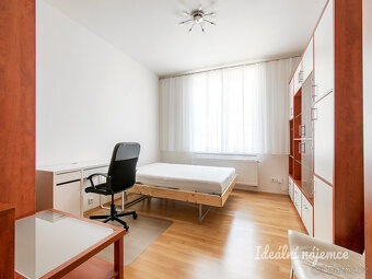 Pronájem bytu 1+kk, U Družstva Repo, Nusle, 15900 Kč/měs, 41 - 2