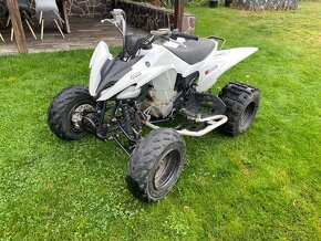 Yamaha Raptor 250 - 2