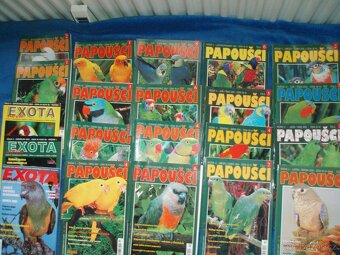 Papoušci, andulky, psi, ryby, akvárium - 2