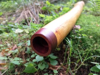 Didgeridoo - Olše - 2